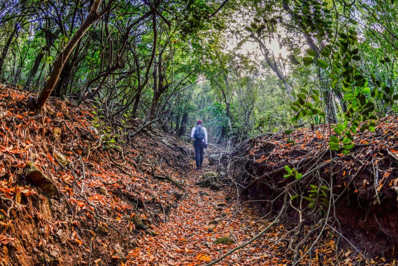 Mountain climbing In Antigua: Take In Breathtaking Views On This Epic Path