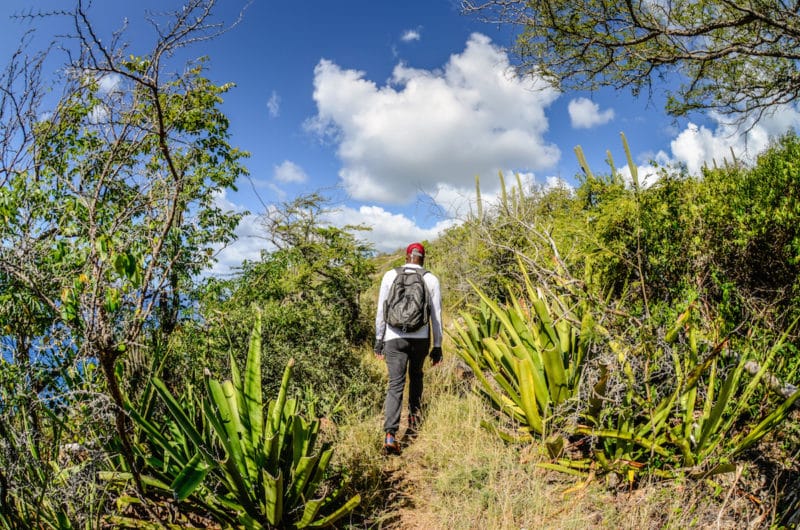 Mountain climbing In Antigua: Take In Breathtaking Views On This Epic Path