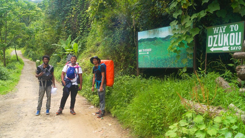 Dzükou Valley Trek: Your Final Information To India’s Well-known Hike