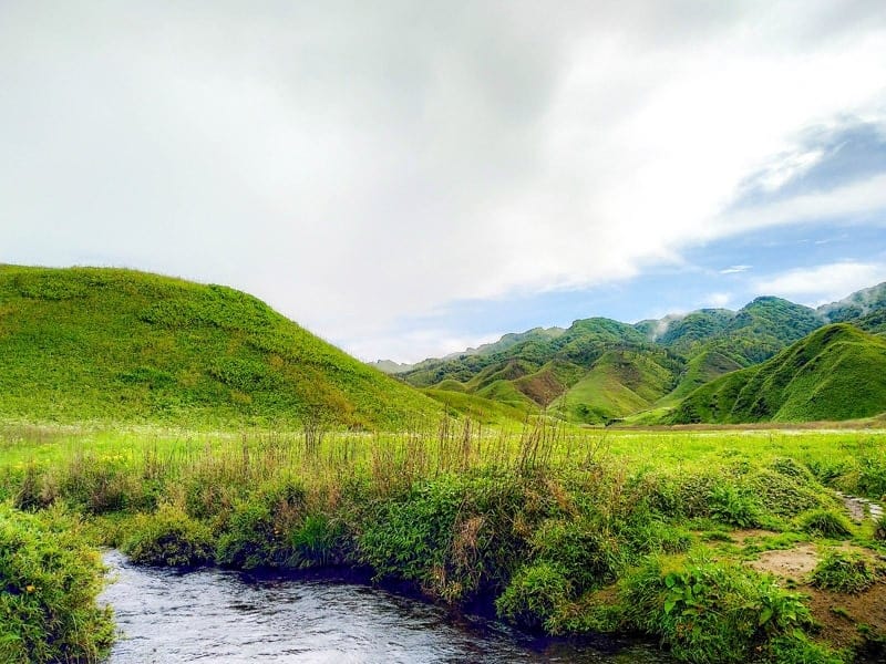 Dzükou Valley Trek: Your Final Information To India’s Well-known Hike