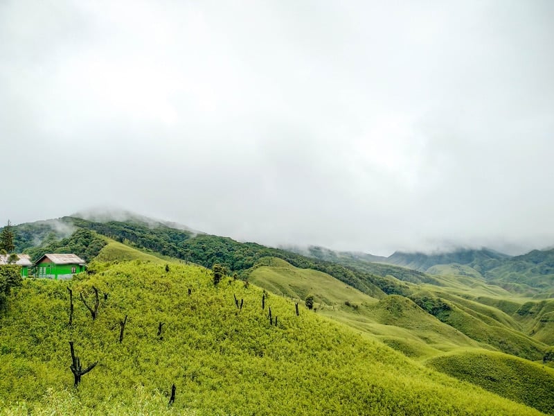 Dzükou Valley Trek: Your Final Information To India’s Well-known Hike